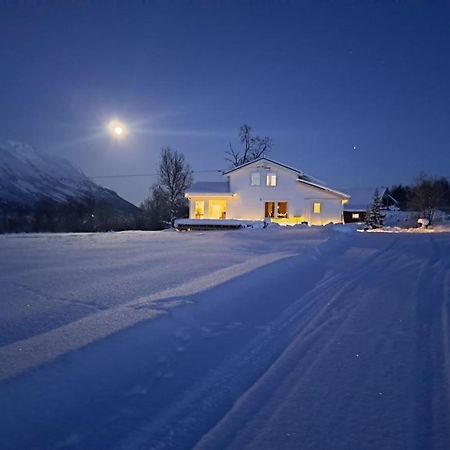 Mountainside Lodge - Breivikeidet Тромсе Екстер'єр фото