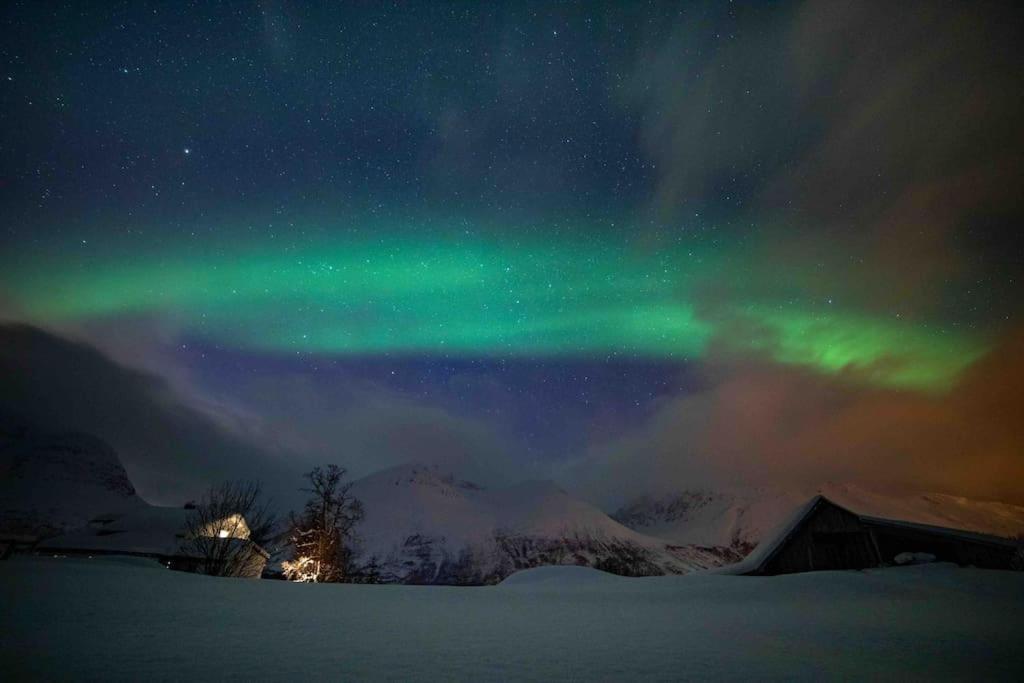 Mountainside Lodge - Breivikeidet Тромсе Екстер'єр фото