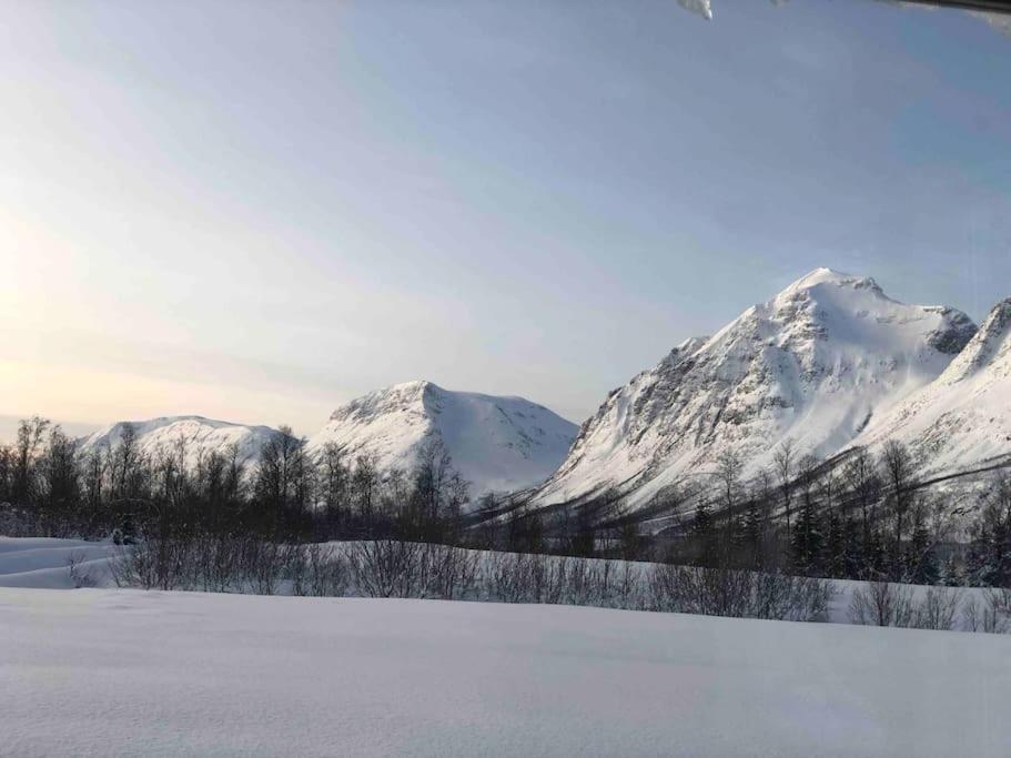 Mountainside Lodge - Breivikeidet Тромсе Екстер'єр фото