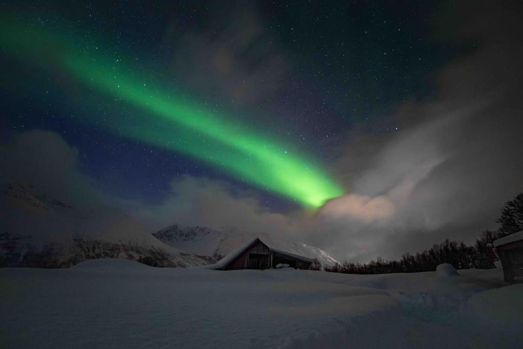 Mountainside Lodge - Breivikeidet Тромсе Екстер'єр фото