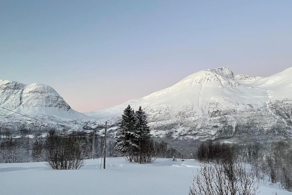 Mountainside Lodge - Breivikeidet Тромсе Екстер'єр фото