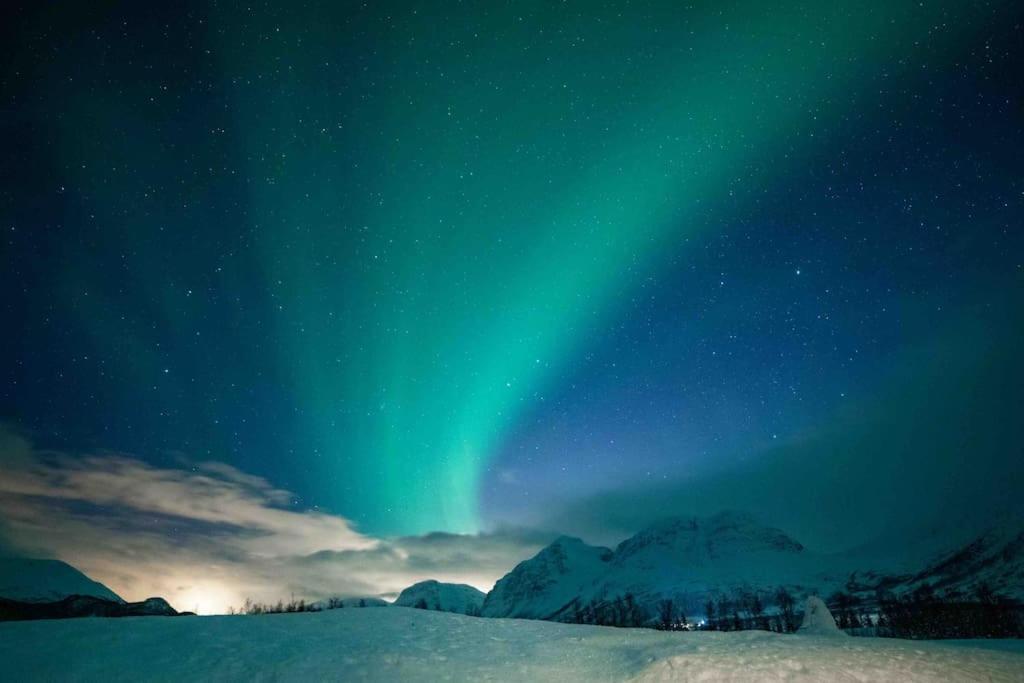 Mountainside Lodge - Breivikeidet Тромсе Екстер'єр фото