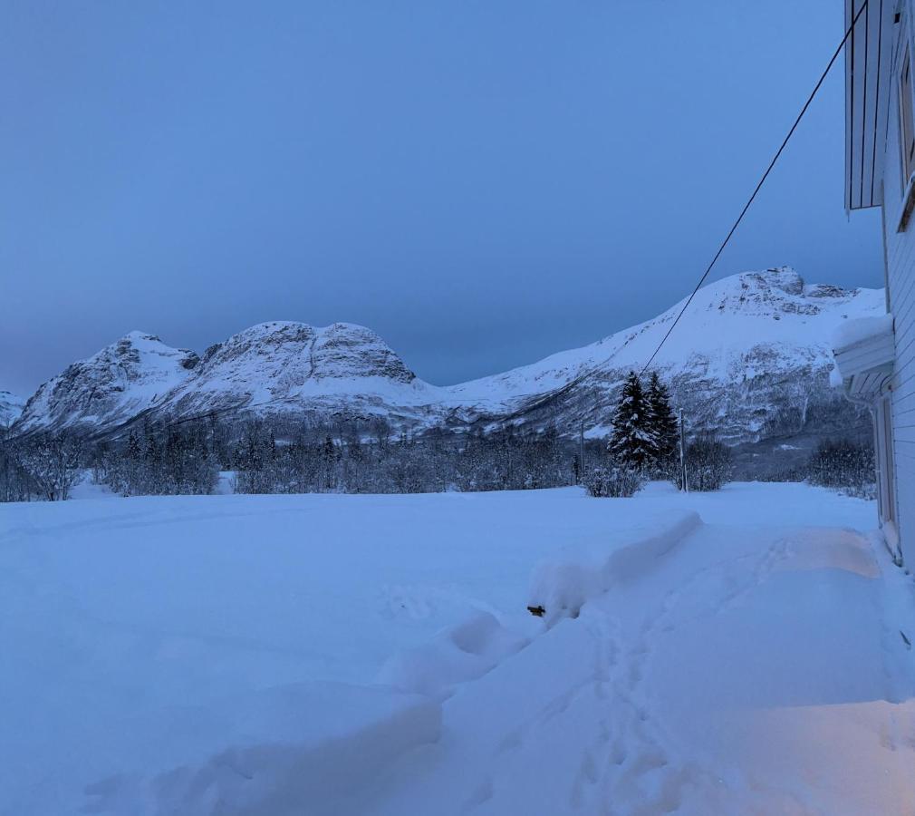 Mountainside Lodge - Breivikeidet Тромсе Екстер'єр фото