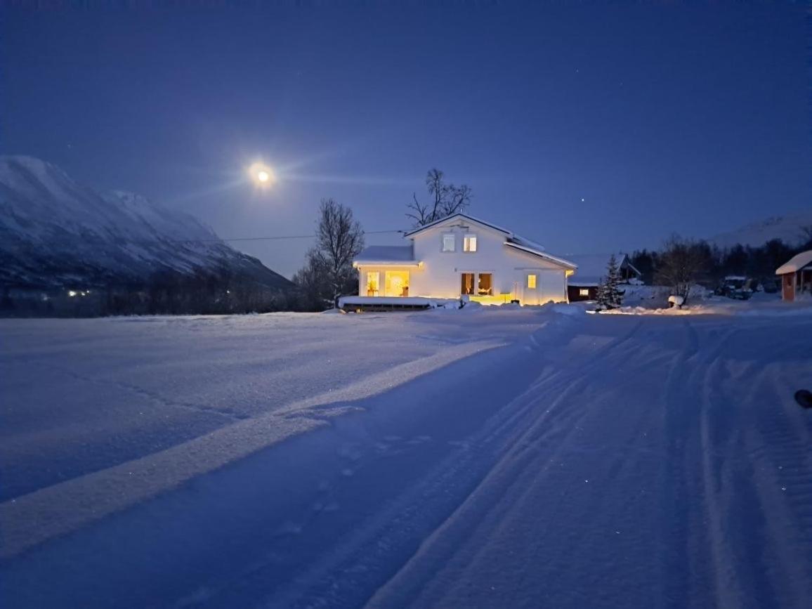 Mountainside Lodge - Breivikeidet Тромсе Екстер'єр фото